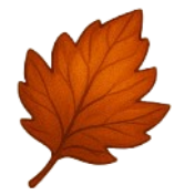 Content Management Icon